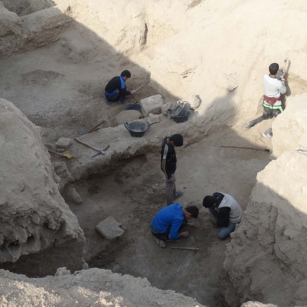Young men digging for antiquities