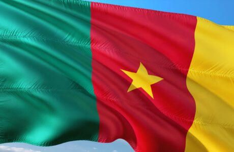 Flag of Cameroon